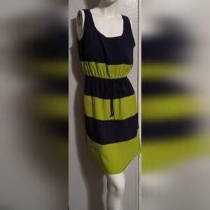 Stylish Green and Black Striped Dress